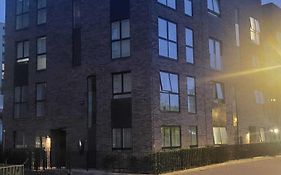 Kayz Lodge- Luxury Ensuite-Private & Shared Accommodation In A New House At The Olympic Village Overlooking Stratford Westfield And Tube Station